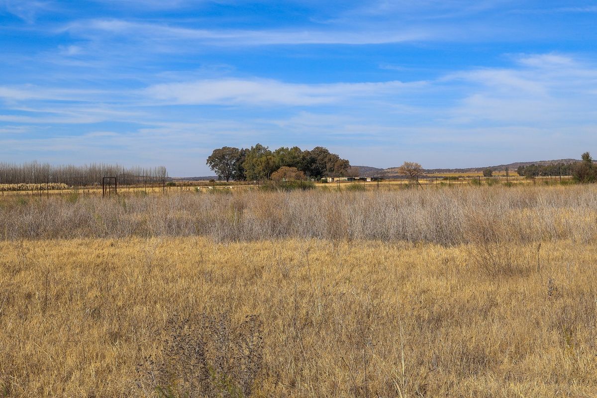 Expansive view of the open veld landscape on the small holding, featuring natural dry grassland and distant tree lines under a clear blue sky.
