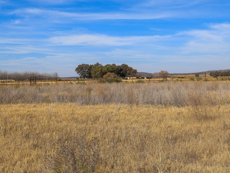 Expansive view of the open veld landscape on the small holding, featuring natural dry grassland and distant tree lines under a clear blue sky.