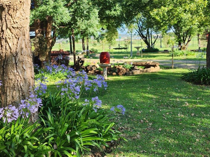A lush, well-maintained garden area featuring mature trees, vibrant agapanthus flowers, and a stone water feature on a small holding property.
