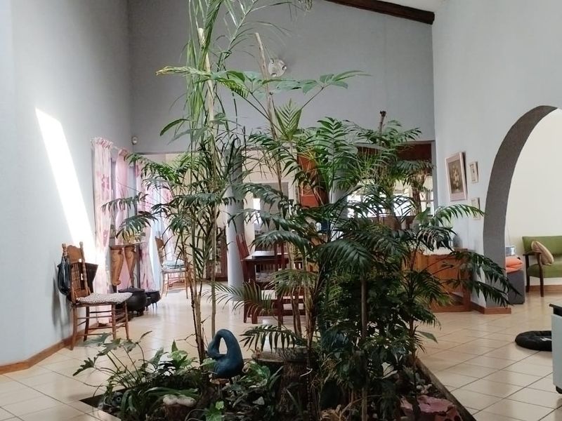 Spacious open-plan living area featuring high vaulted ceilings, tiled flooring, and a central indoor planter bed with an arched architectural transition.