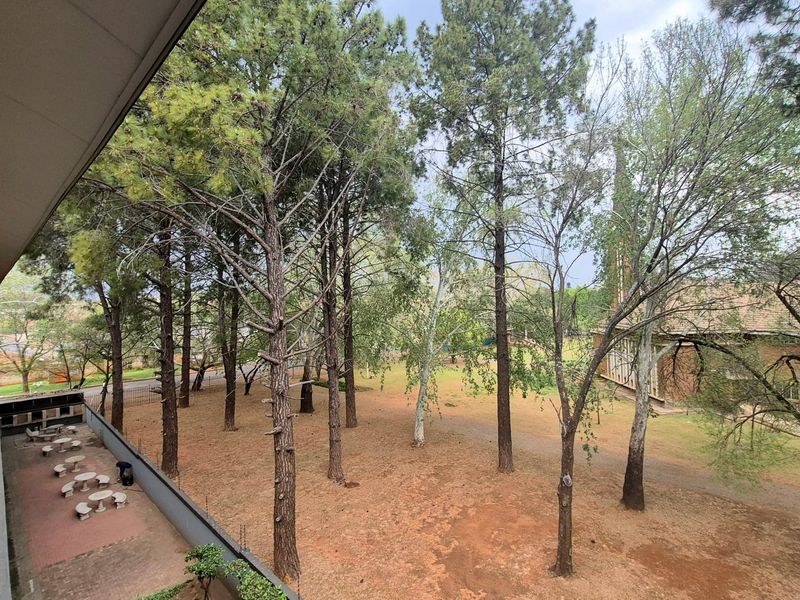 A view from an apartment balcony overlooking a wooded garden area with mature trees and a paved outdoor space below.