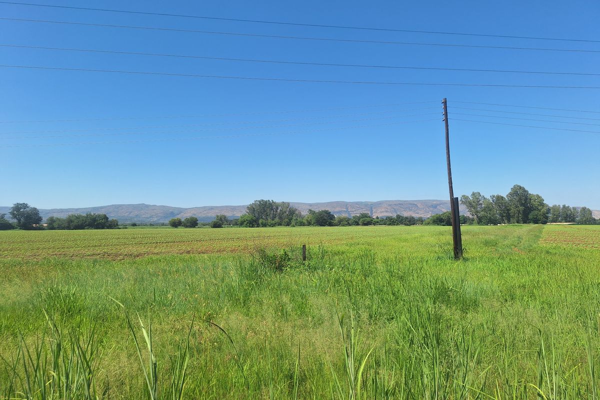 Farm For Sale In Rustenburg - Photo 3