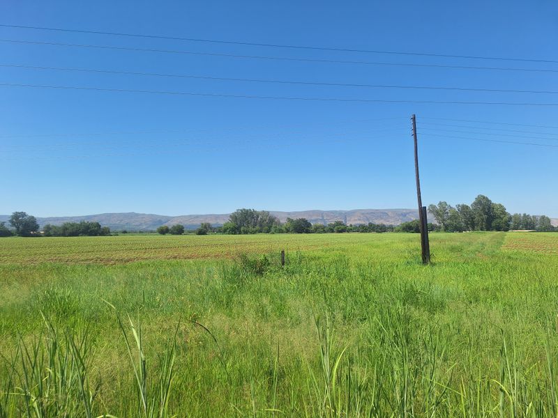 Farm For Sale In Rustenburg - Photo 3