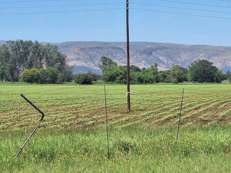 Farm For Sale In Rustenburg - Photo 8