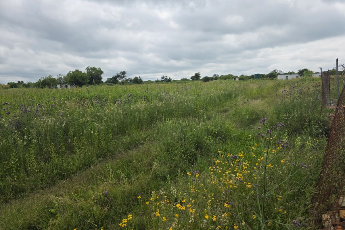Farm For Sale In Swartruggens - Photo 3