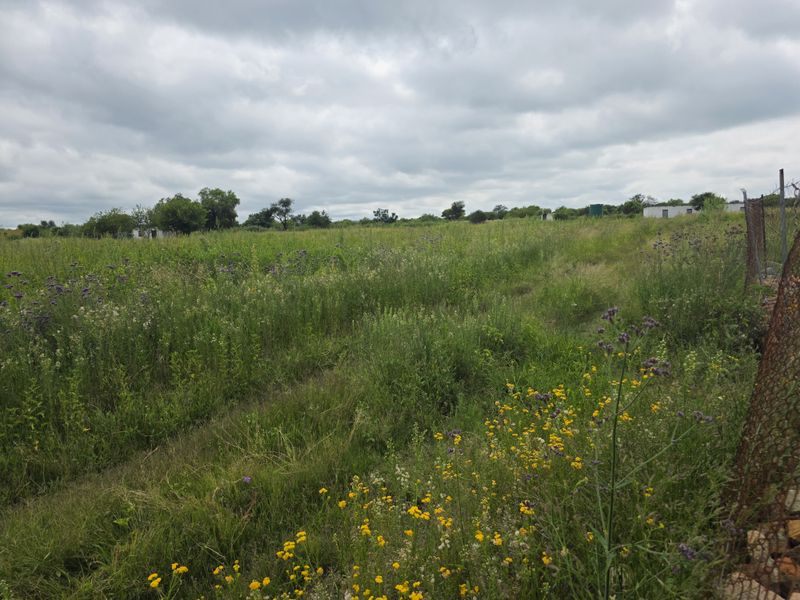 Farm For Sale In Swartruggens - Photo 3