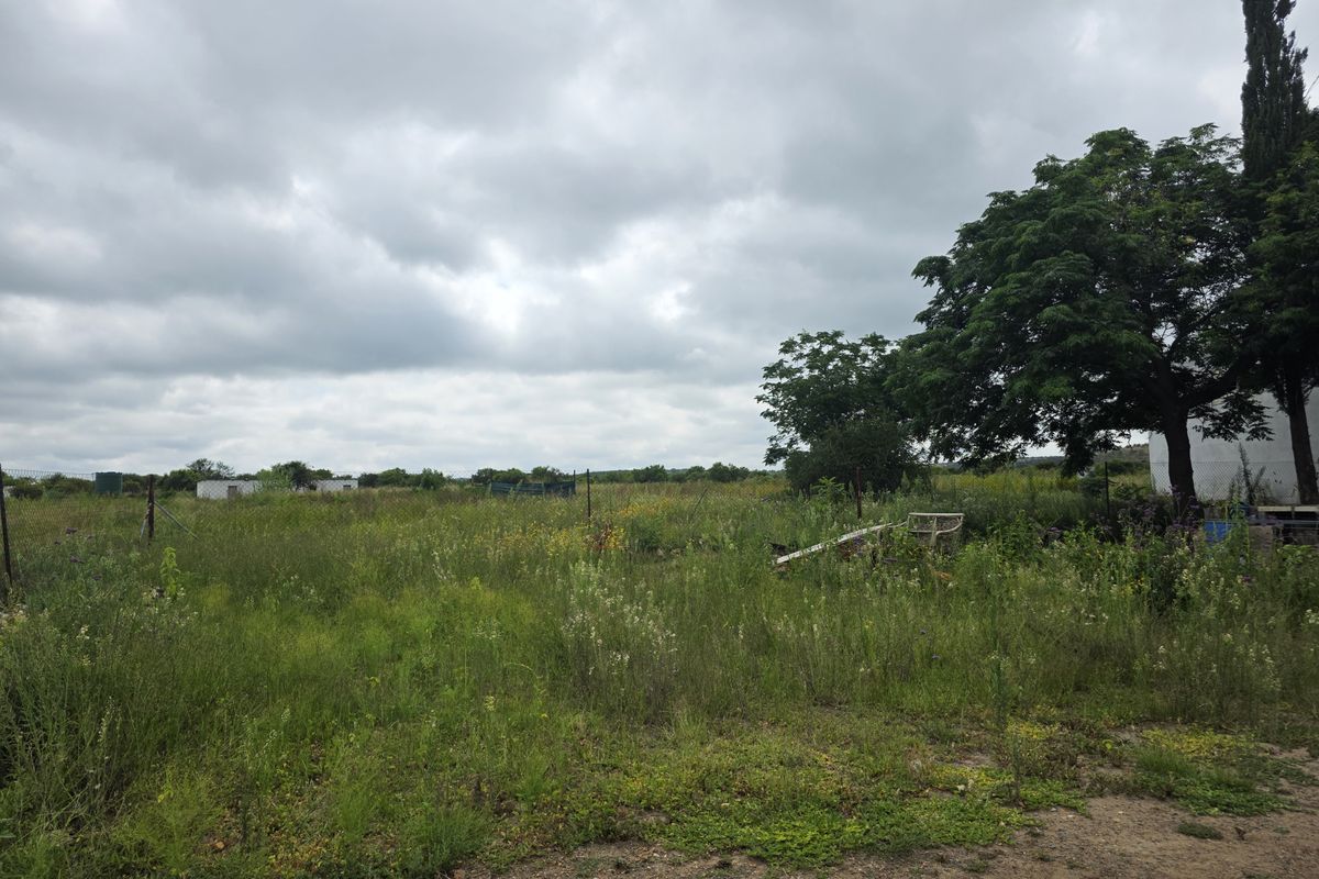 Farm For Sale In Swartruggens - Photo 4