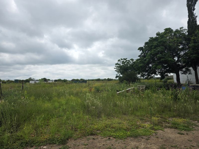 Farm For Sale In Swartruggens - Photo 4