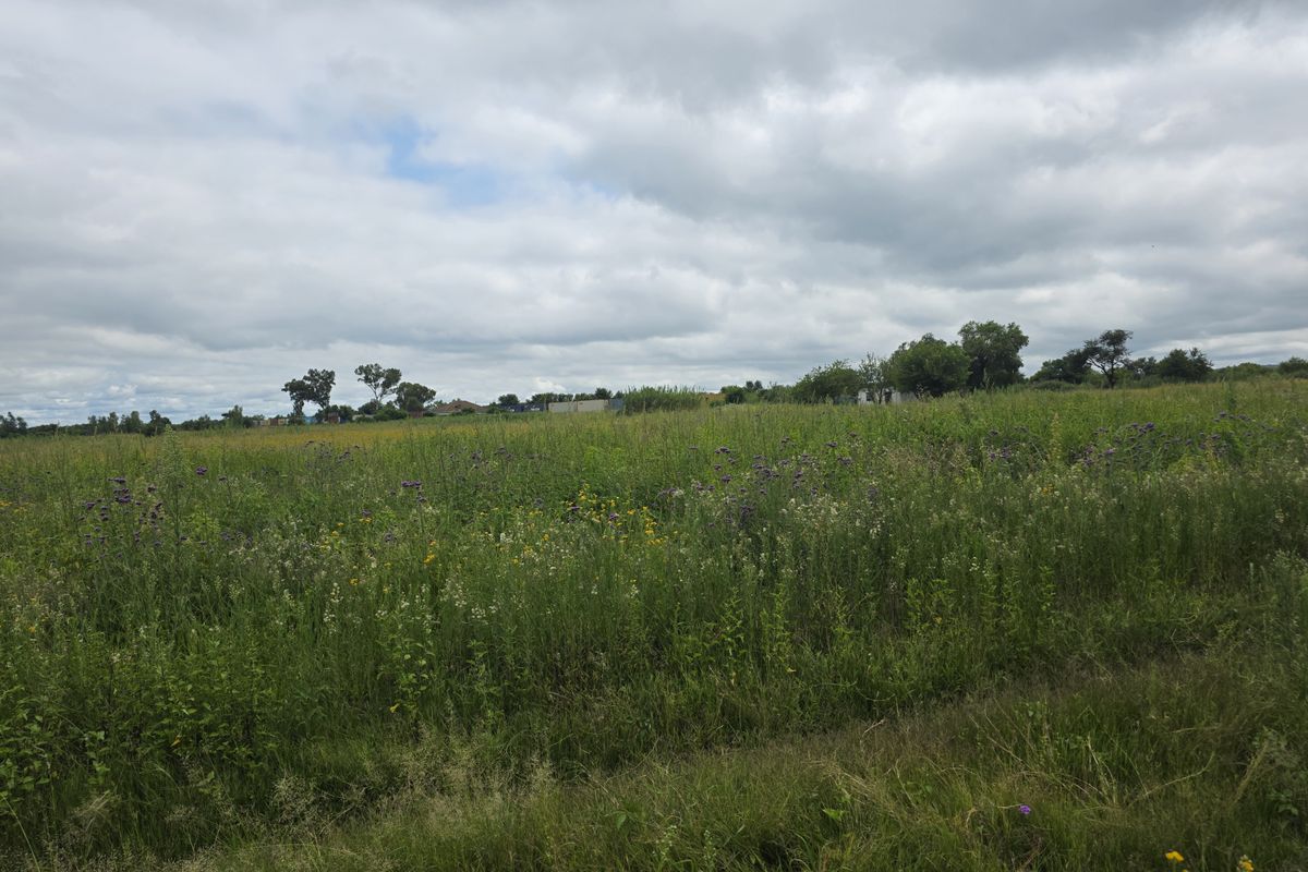 Farm For Sale In Swartruggens - Photo 5