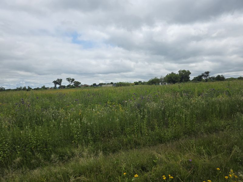 Farm For Sale In Swartruggens - Photo 5