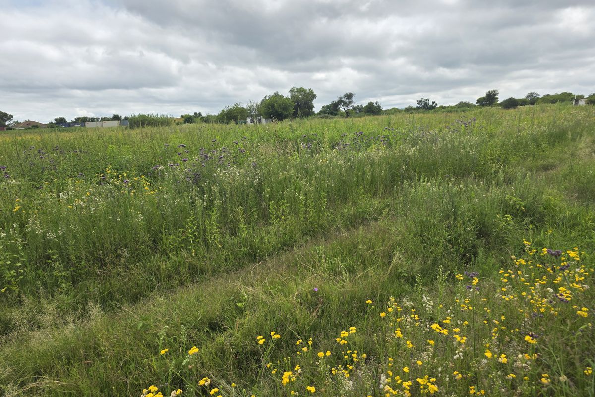 Farm For Sale In Swartruggens - Photo 2