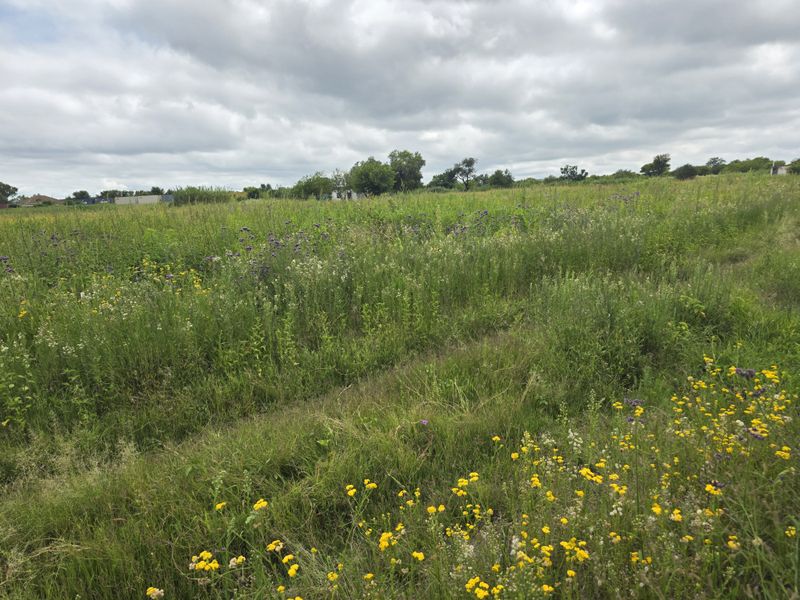 Farm For Sale In Swartruggens - Photo 2