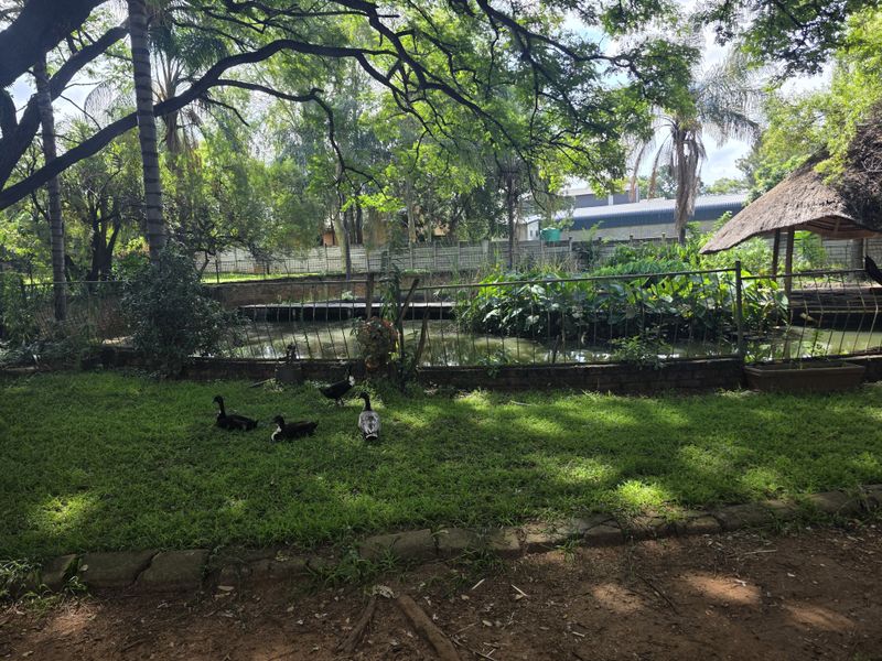 Farm For Sale In Rustenburg - Photo 5