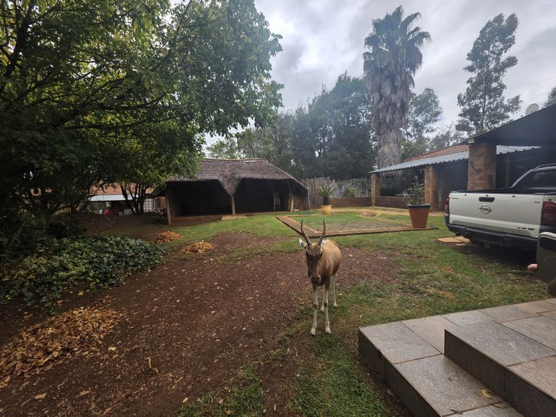 Lodge For Sale In Rustenburg - Photo 6