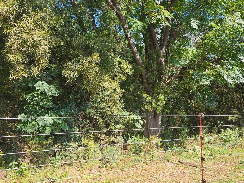 Farm For Sale In Rustenburg - Photo 9
