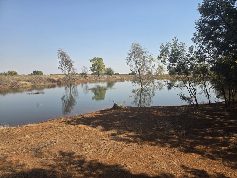 A scenic view of a natural farm dam surrounded by mature trees and open landscape, showcasing the property's tranquil outdoor environment.