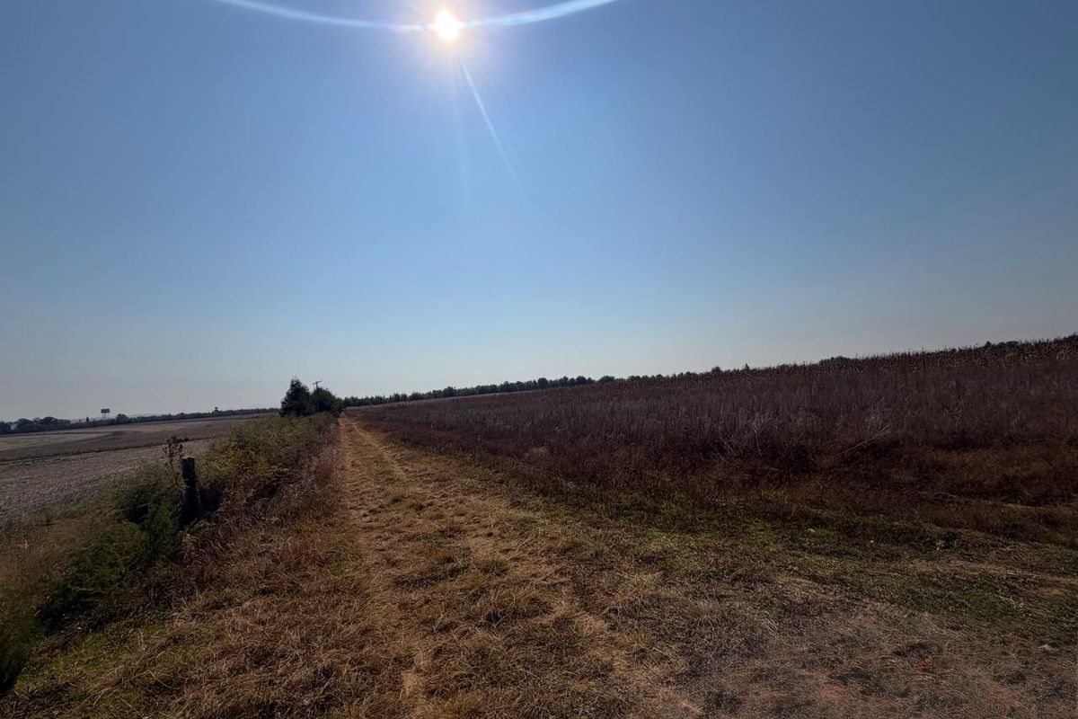 A wide-angle view of a rural farm landscape featuring a dirt track path and open fields under a clear sky.