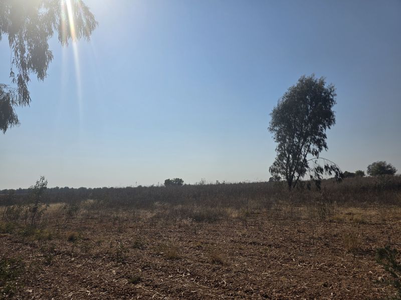 A wide-angle view of the expansive, undeveloped farm land featuring natural vegetation and mature trees under a clear sky.
