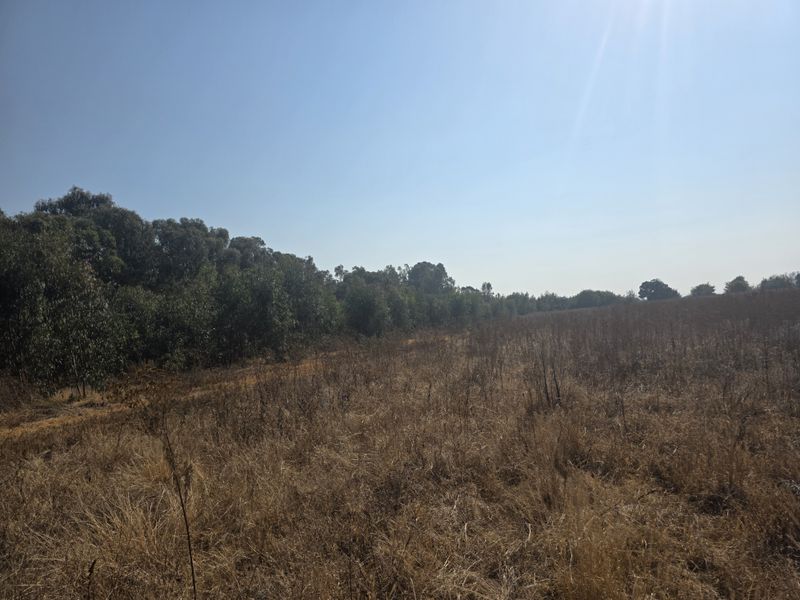 A wide-angle view of the farm property featuring an expansive open field bordered by a mature line of trees under a clear sky.