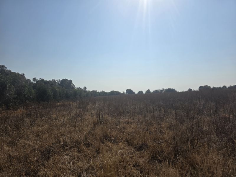 A wide-angle view of an open, undeveloped field on the farm property, bordered by mature trees under a clear sky.