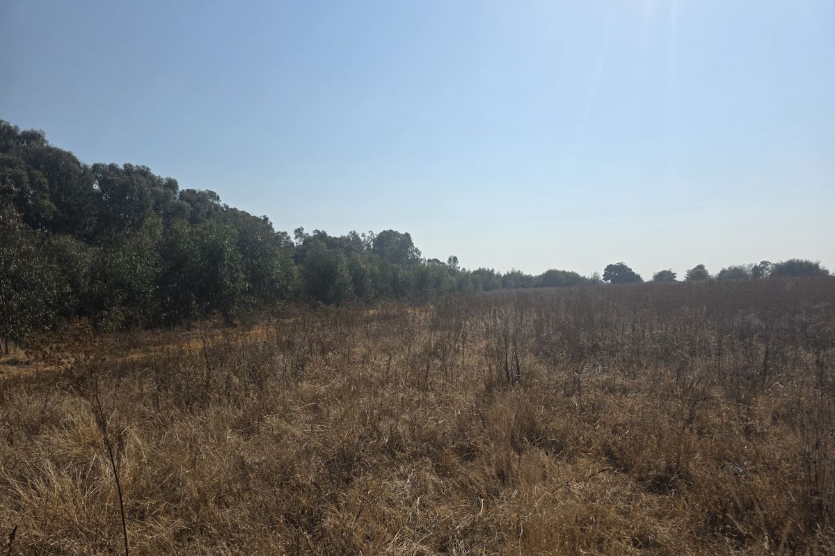 A wide-angle view of the farm property featuring expansive open fields bordered by a line of mature trees under a clear sky.
