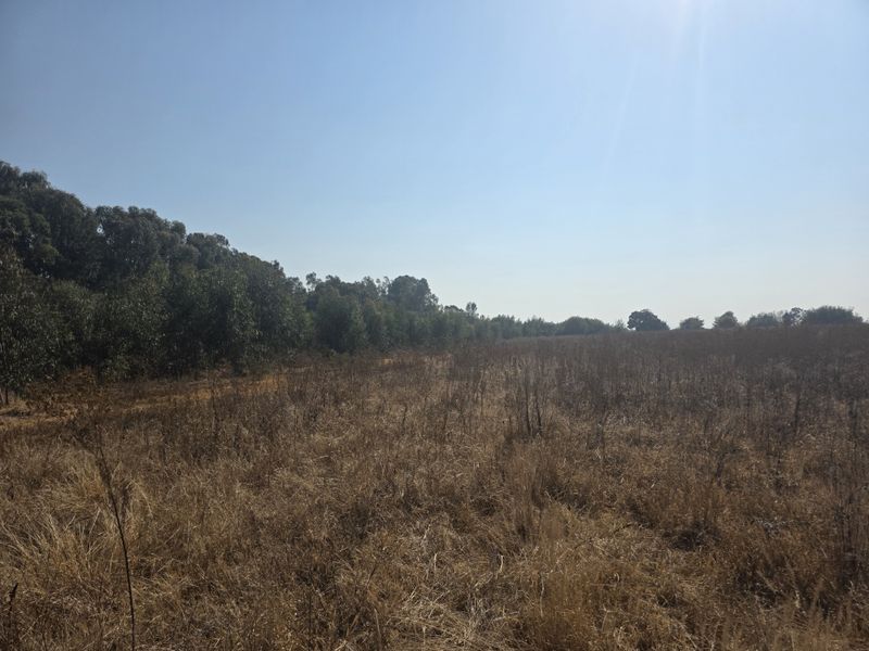 A wide-angle view of the farm property featuring expansive open fields bordered by a line of mature trees under a clear sky.