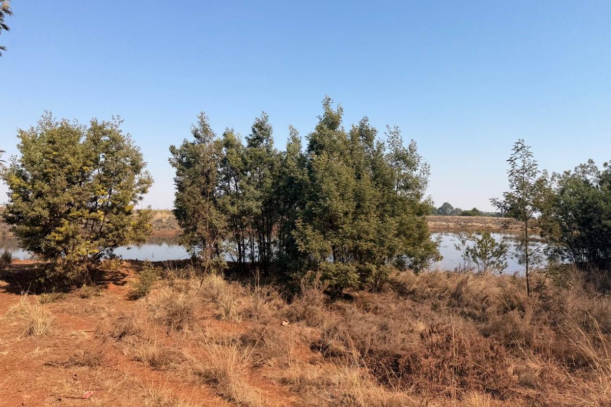 A scenic view of a natural dam on the farm property, surrounded by indigenous trees and open veld landscape.