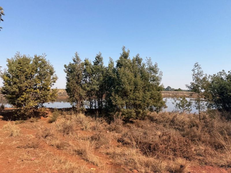 A scenic view of a natural dam on the farm property, surrounded by indigenous trees and open veld landscape.