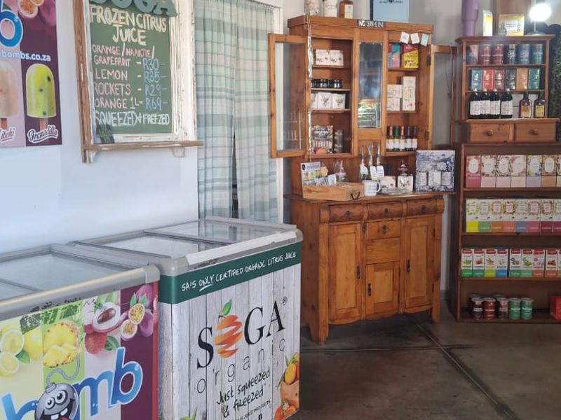 Well - Established Gift Shop for sale - Photo 9