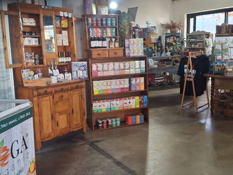 Well - Established Gift Shop for sale - Photo 8
