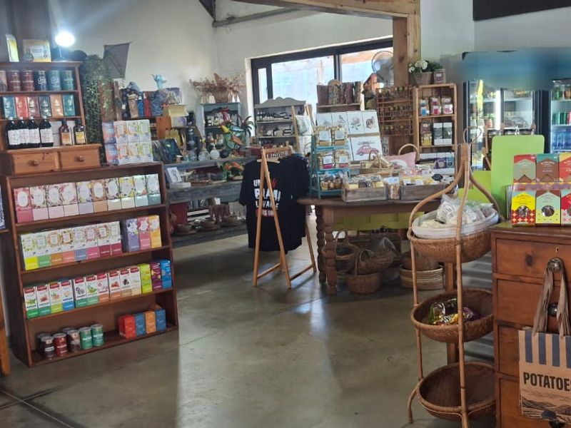 Well - Established Gift Shop for sale - Photo 7