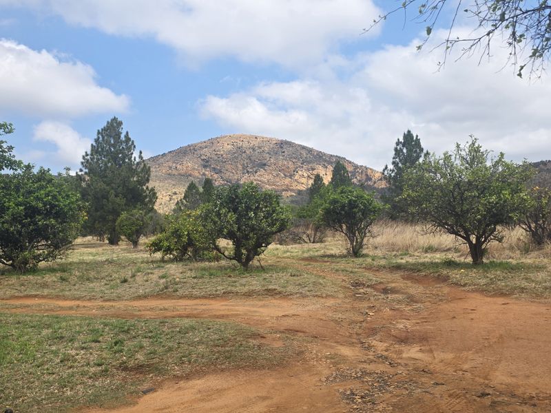 A scenic view of the farm landscape featuring natural vegetation, mature trees, and a prominent mountain backdrop under a clear sky.