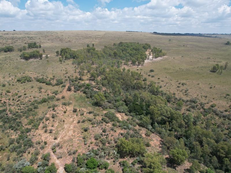 An aerial view of the expansive farm property, showcasing natural grassland and established woodland areas.