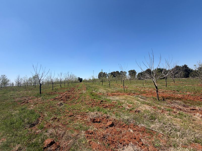 Smallholding For Sale In Koster - Photo 10