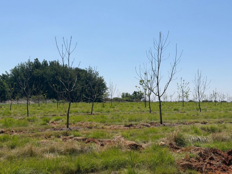 Smallholding For Sale In Koster - Photo 2