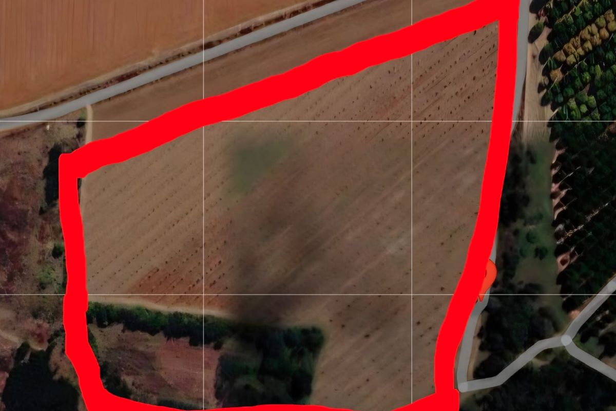 Aerial view of a large agricultural small holding plot with clearly marked boundaries.