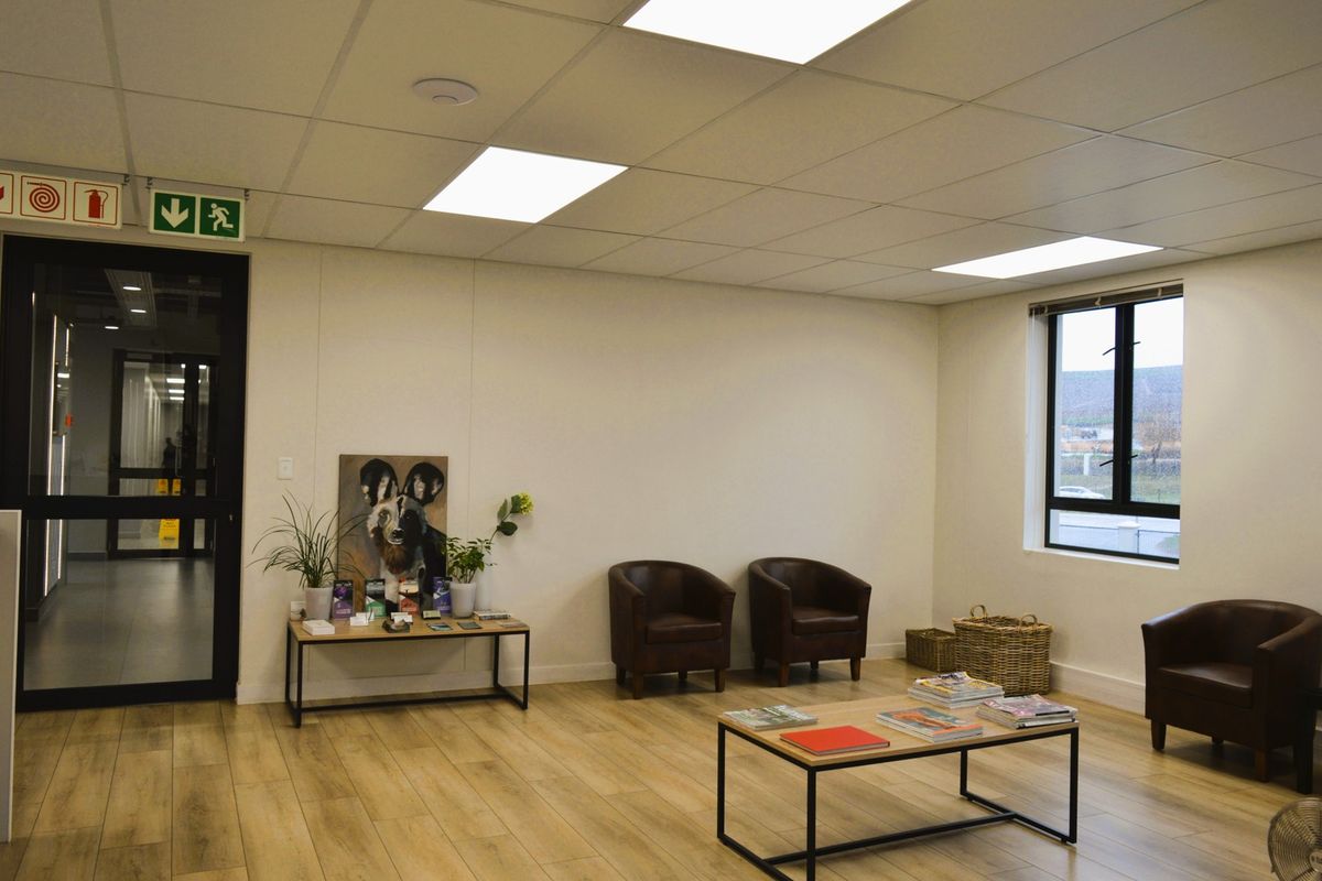 A professional commercial office reception or waiting area featuring laminate flooring, recessed ceiling lighting, and large windows providing natural light.