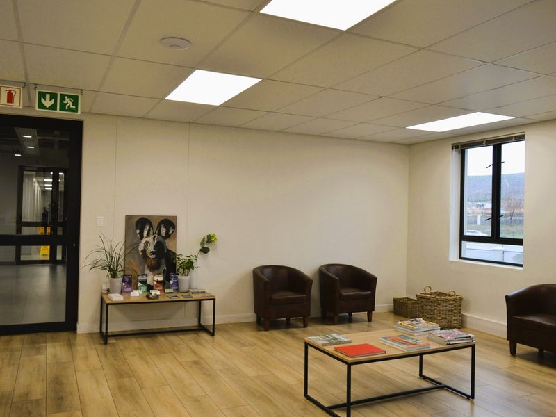 A professional commercial office reception or waiting area featuring laminate flooring, recessed ceiling lighting, and large windows providing natural light.