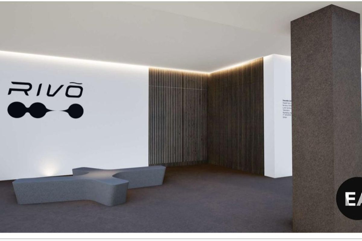 Modern office building lobby featuring clean white walls, decorative slatted timber paneling, recessed cove lighting, and a professional reception area.