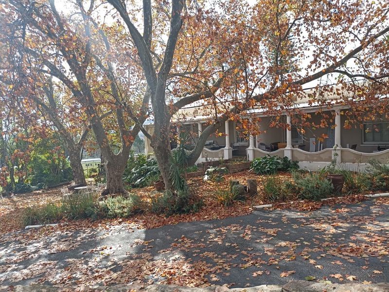 Business opportunity not to be missed - Photo 8