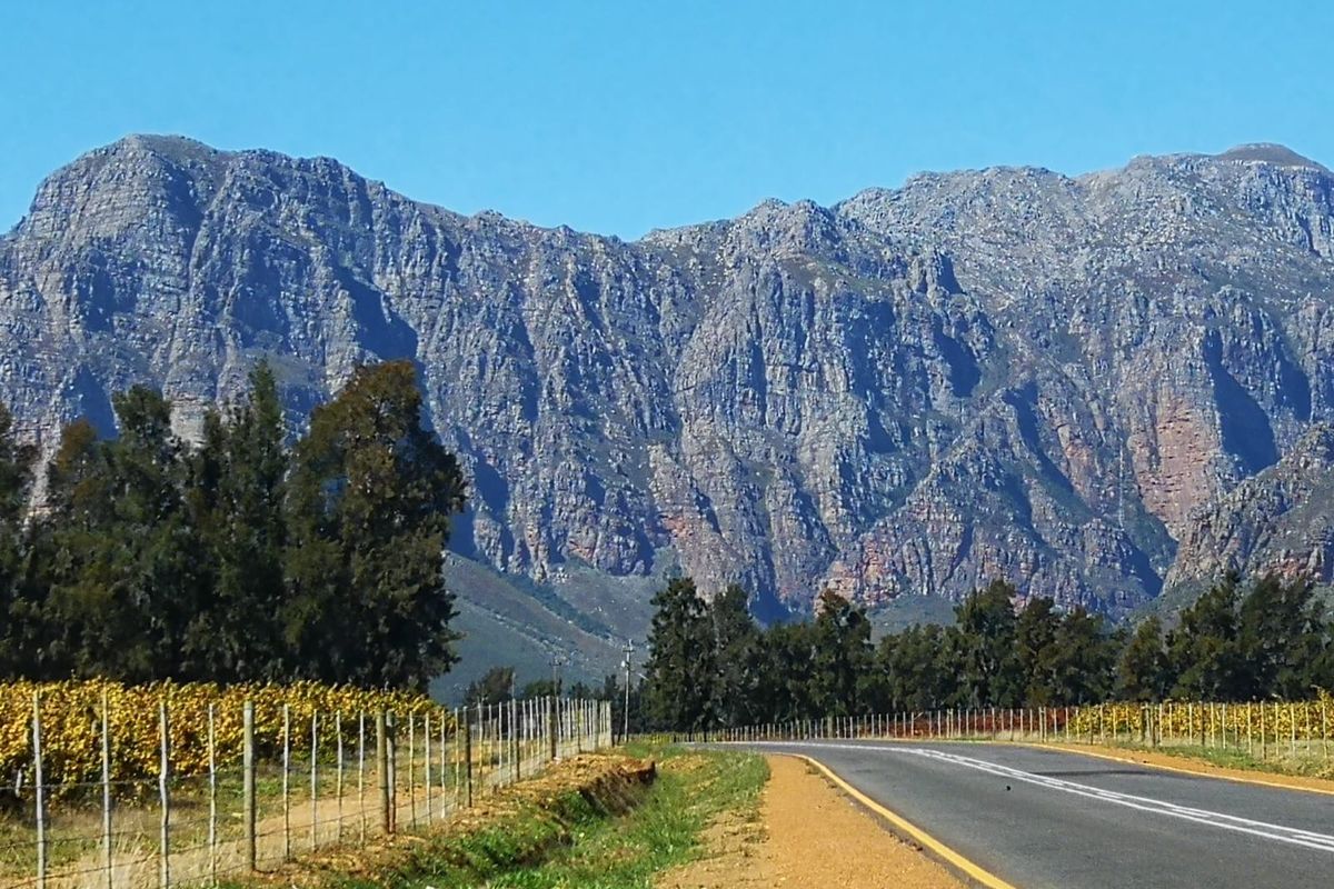 Business opportunity not to be missed - Photo 3