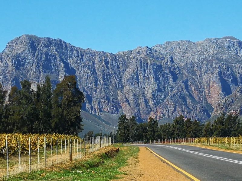 Business opportunity not to be missed - Photo 3