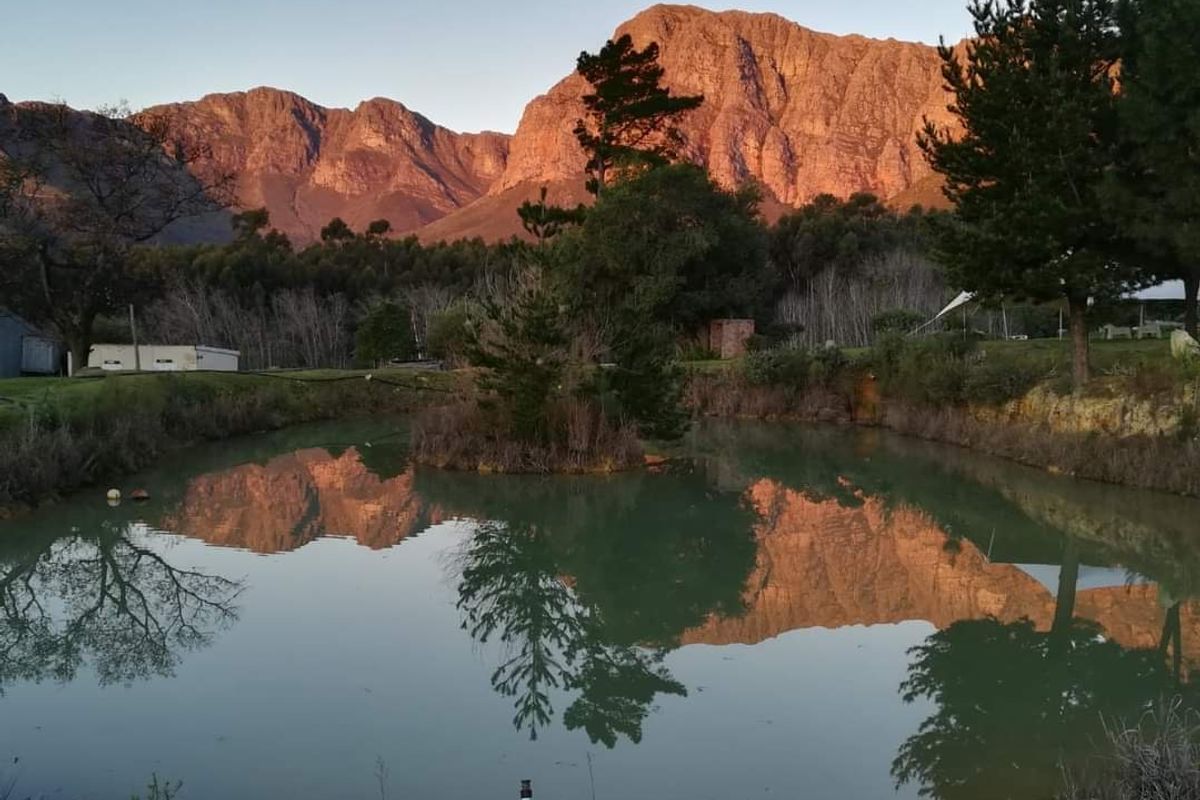 Business opportunity not to be missed - Photo 4