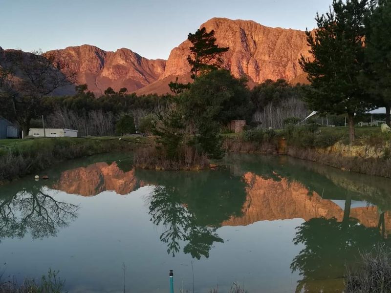 Business opportunity not to be missed - Photo 4