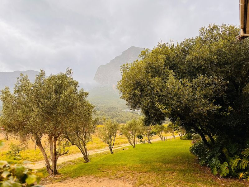 A scenic view of a lush garden with mature trees, overlooking a natural landscape with mountain vistas in the background.
