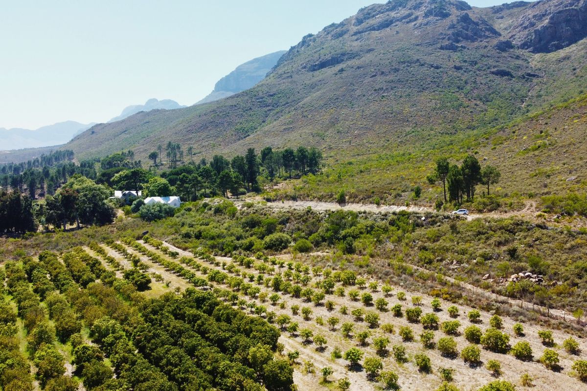 24ha Exclusive and Scenic Agricultural Gem in Paarl, Lifestyle & Investment in One! - Photo 2