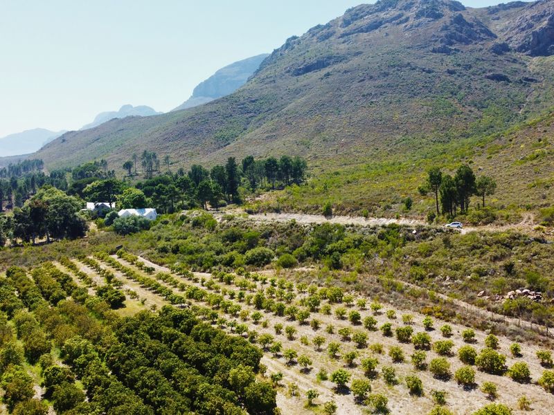 24ha Exclusive and Scenic Agricultural Gem in Paarl, Lifestyle & Investment in One! - Photo 2