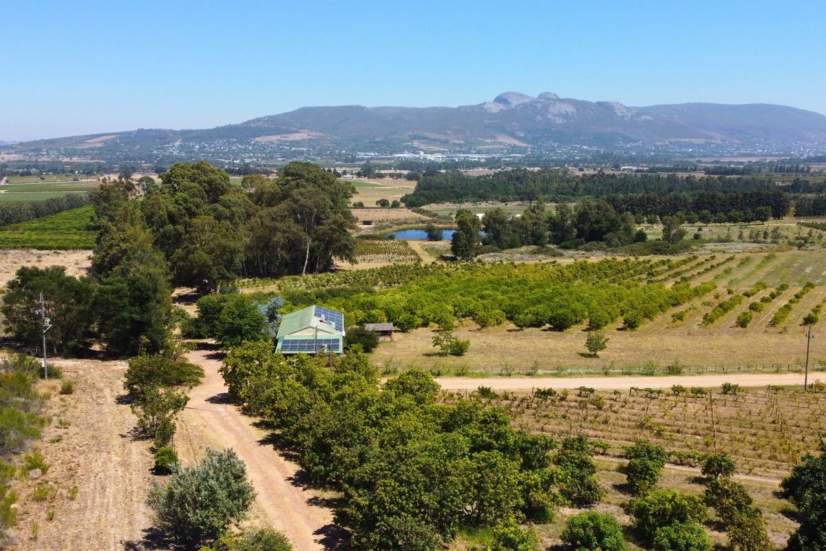 24ha Exclusive and Scenic Agricultural Gem in Paarl, Lifestyle & Investment in One! - Photo 3