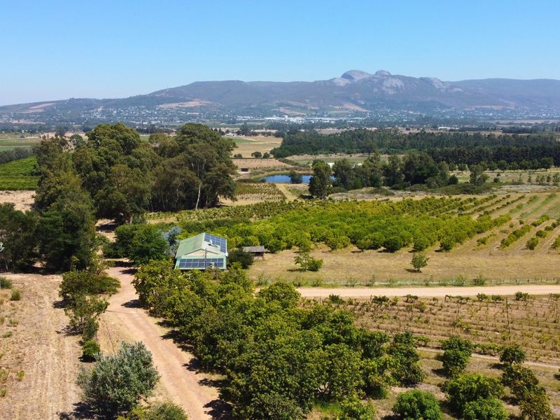 24ha Exclusive and Scenic Agricultural Gem in Paarl, Lifestyle & Investment in One! - Photo 3