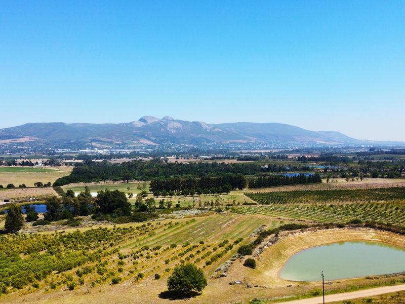 24ha Exclusive and Scenic Agricultural Gem in Paarl, Lifestyle & Investment in One! - Photo 4